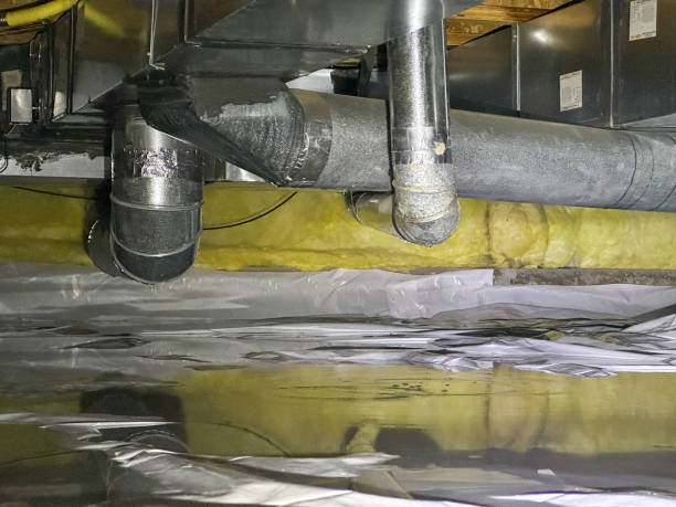 Best Basement Water Damage Restoration in USA